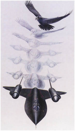 "Metamorphosis VI: Blackbird" - Jody F. Sjogren - SR-71 Blackbird Art